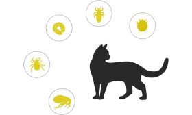 Φυσικό Κολάρο Γάτας για Ψύλλους & Τσιμπούρια